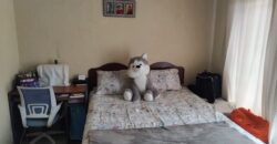 Three bedroom house in Vosloorus EXT 2