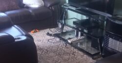 4 Bedroom Double Storey House in Bramley View