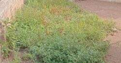 Soshanguve – House for Sale