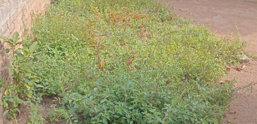 Soshanguve – House for Sale